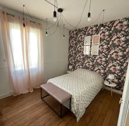 דירה Spacieux A Deux Pas Du Centre ריימס